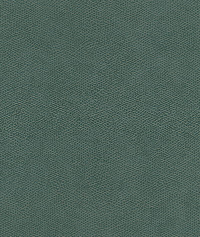 Kravet Cured.35.0 Fabric
