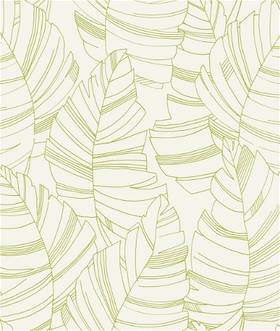 Seabrook Designs Jungle Leaves Green Apple Wallpaper