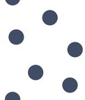 Seabrook Designs Dots Navy Wallpaper