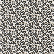 Premier Prints Dayo Gobi Slub Canvas Fabric