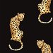 Daisy Bennett Leopard King Black Peel &amp; Stick Wallpaper thumbnail image 1 of 5