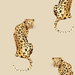 Daisy Bennett Leopard King Pale Oak Peel & Stick Wallpaper
