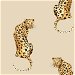 Daisy Bennett Leopard King Pale Oak Peel &amp; Stick Wallpaper thumbnail image 1 of 5
