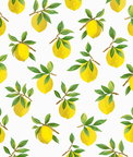 Daisy Bennett Lemoncello White Peel & Stick Wallpaper