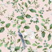 Peel & Stick Chinoiserie Bird Vine Blush Wallpaper