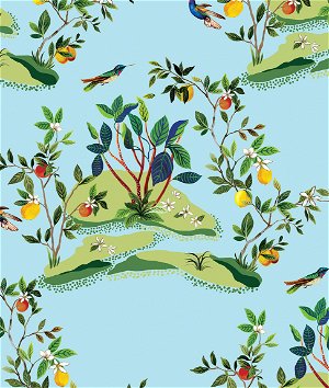 Daisy Bennett Citrus Hummingbird Sky Blue Wallpaper
