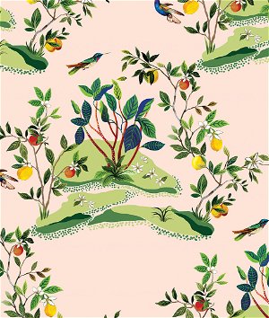 Daisy Bennett Citrus Hummingbird Blush Wallpaper