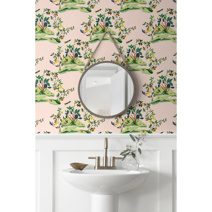 Daisy Bennett Citrus Hummingbird Blush Wallpaper image 3 of 5