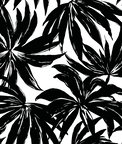 Daisy Bennett Palma Black Wallpaper