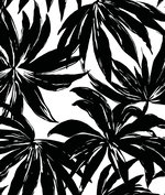 Daisy Bennett Palma Black Wallpaper