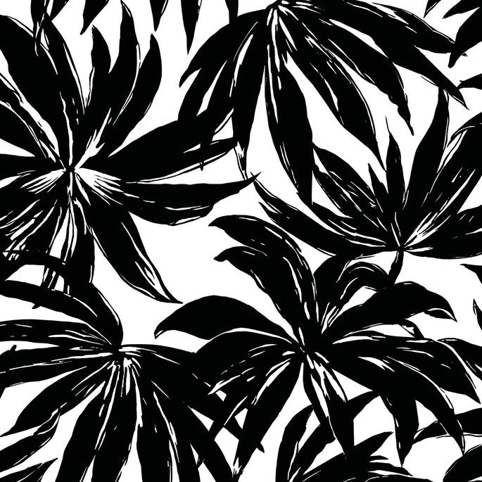 Daisy Bennett Palma Black Wallpaper image 1 of 5