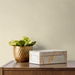 Collins &amp; Company Queens Weave Warm Beige Wallpaper thumbnail image 2 of 2