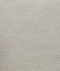 Kravet DELANEY.11 Fabric