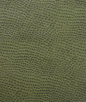 Kravet DELANEY.3 Fabric