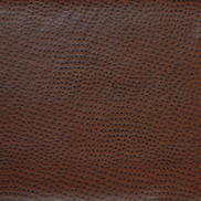 Kravet DELANEY.66 Fabric