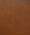 Kravet DELANEY.6 Fabric