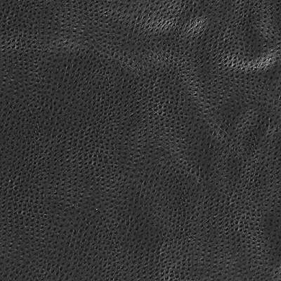 Kravet DELANEY.8 Fabric