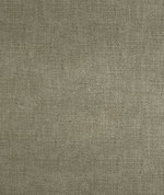 ABBEYSHEA Venal 63 Birch