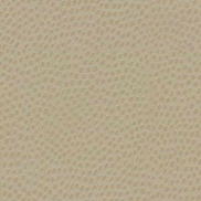 Kravet DEWDROPS.116 Dewdrops Sand Fabric