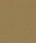Kravet DEWDROPS.4 Fabric