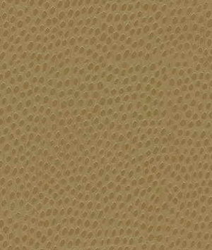 Kravet DEWDROPS.4 Fabric