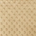 Camel Minky Dot Fabric
