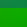 Kelly Green Dimple Mesh