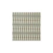 Lee Jofa Modern Dragonfly Taupe/Aqua Fabric