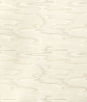 Kravet Dreamland Oyster Fabric