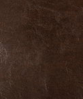 Kravet DUNCAN.66 Fabric