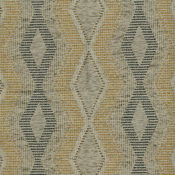 ABBEYSHEA Dragon 54 Coin Fabric