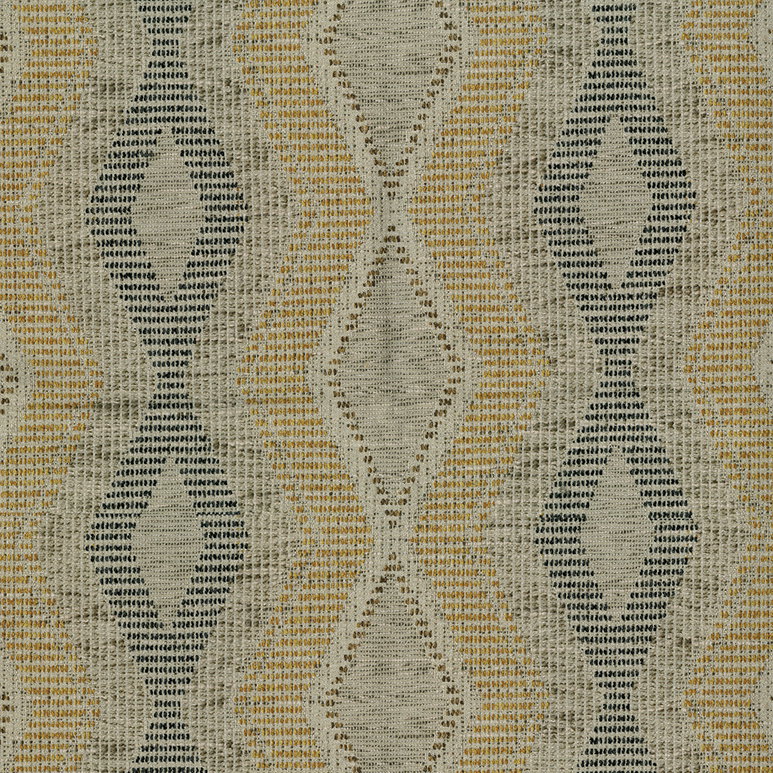 ABBEYSHEA Dragon 54 Coin Fabric