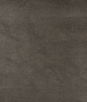 Kravet Design Dust-21 Fabric