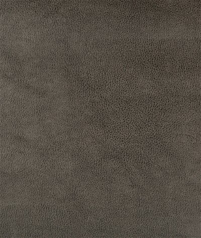 Kravet Design Dust-21 Fabric