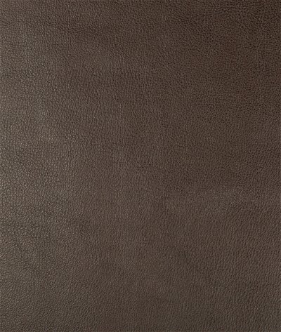Kravet Design Dust-66 Fabric