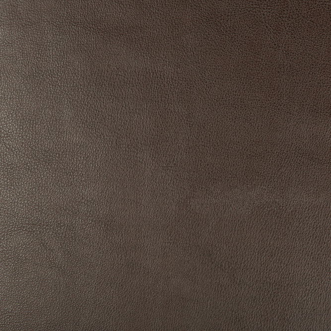 Kravet Design Dust-66 Fabric