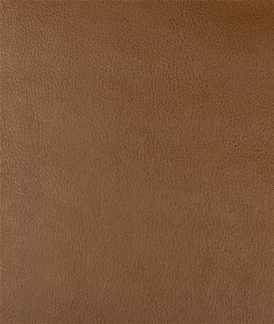 Kravet Design Dust-6 Fabric