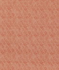 Threads Boundary Spice Fabric