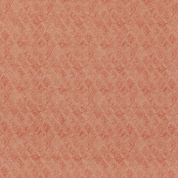 Threads Boundary Spice Fabric
