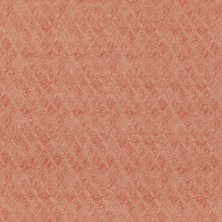Threads Boundary Spice Fabric