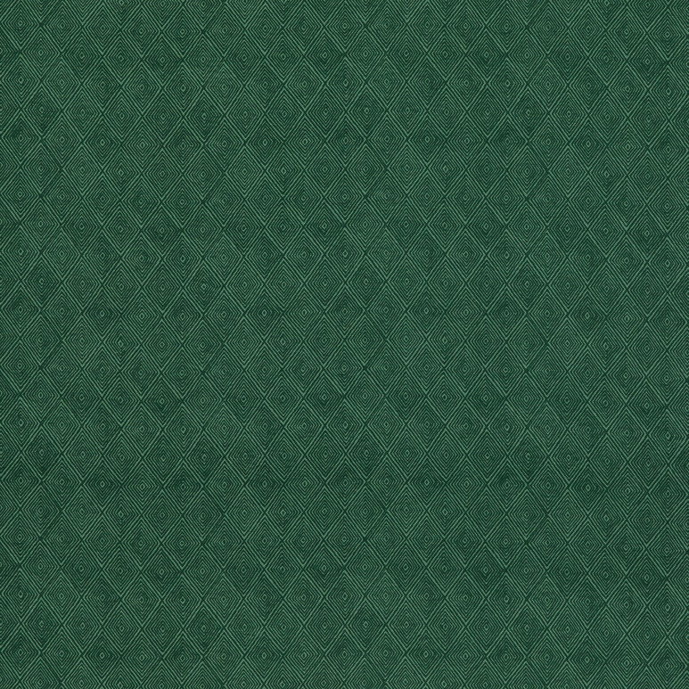 Threads Boundary Emerald Fabric