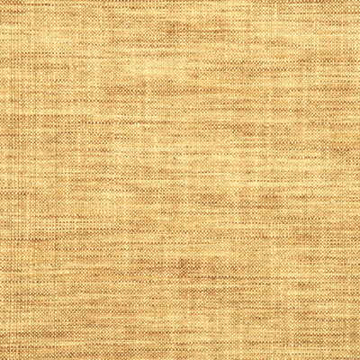 Threads Malva Champagne Fabric