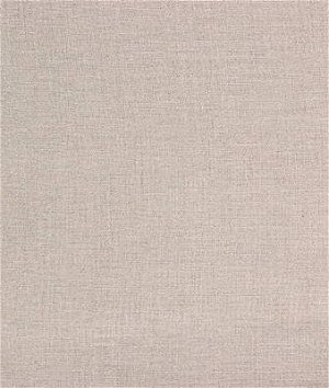 Threads Sonoran Oyster Fabric