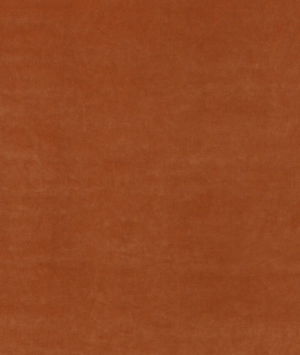 Threads Mercury Coral Fabric