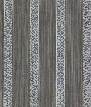 Threads Rexford Indigo Fabric