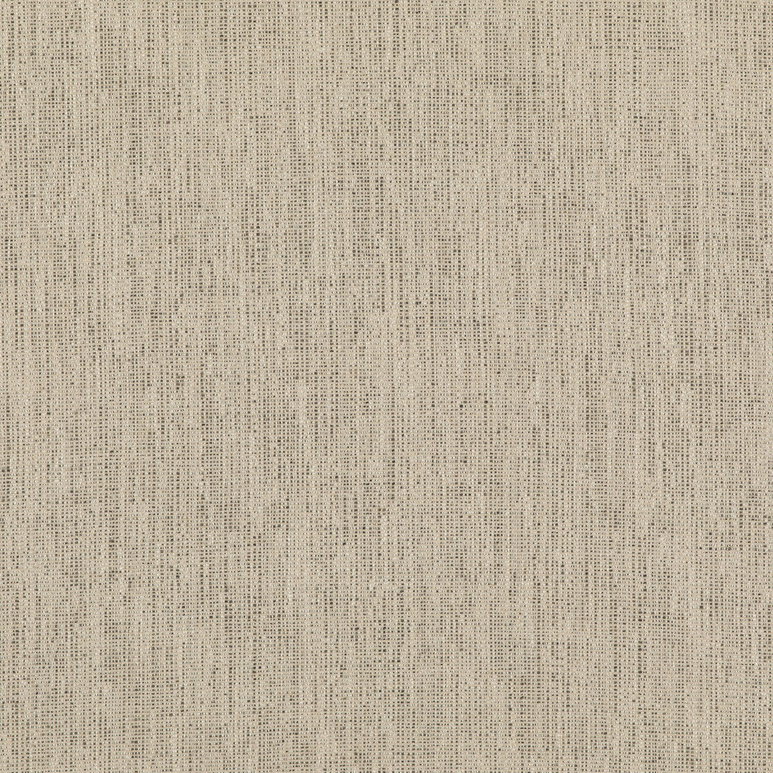 Threads Stipple Charcoal Fabric