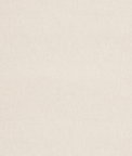 Threads Kankan Ivory Fabric