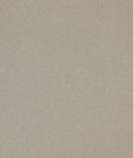 Threads Pumice Parchment Fabric