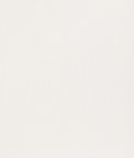 Threads Minette Ivory Fabric