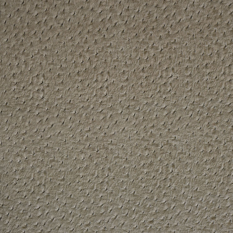 Mitchell Emu Slate Vinyl